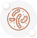 Parasitologia